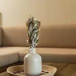 Anogi 奈德里