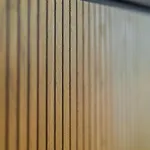 Anogi